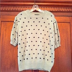 Ann Taylor Polka Dot Sweater